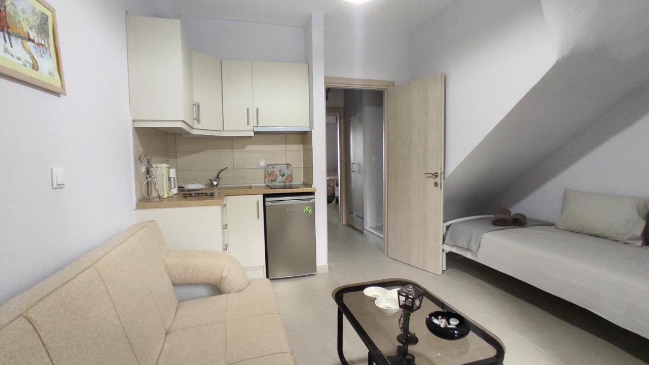 Asterias Maisonette & Apartments Karianí エクステリア 写真